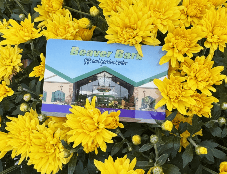 Beaver Bark Gift Cards