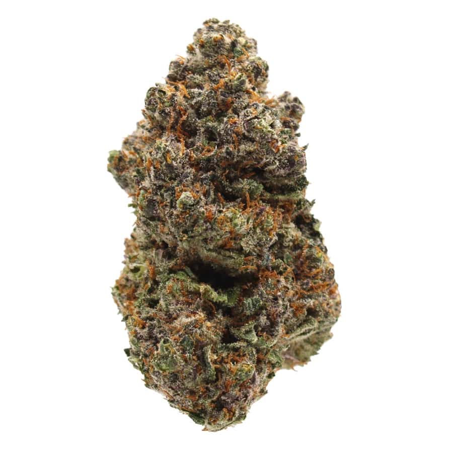Jake the Snake THCa Flower – Super Exotic AAAA