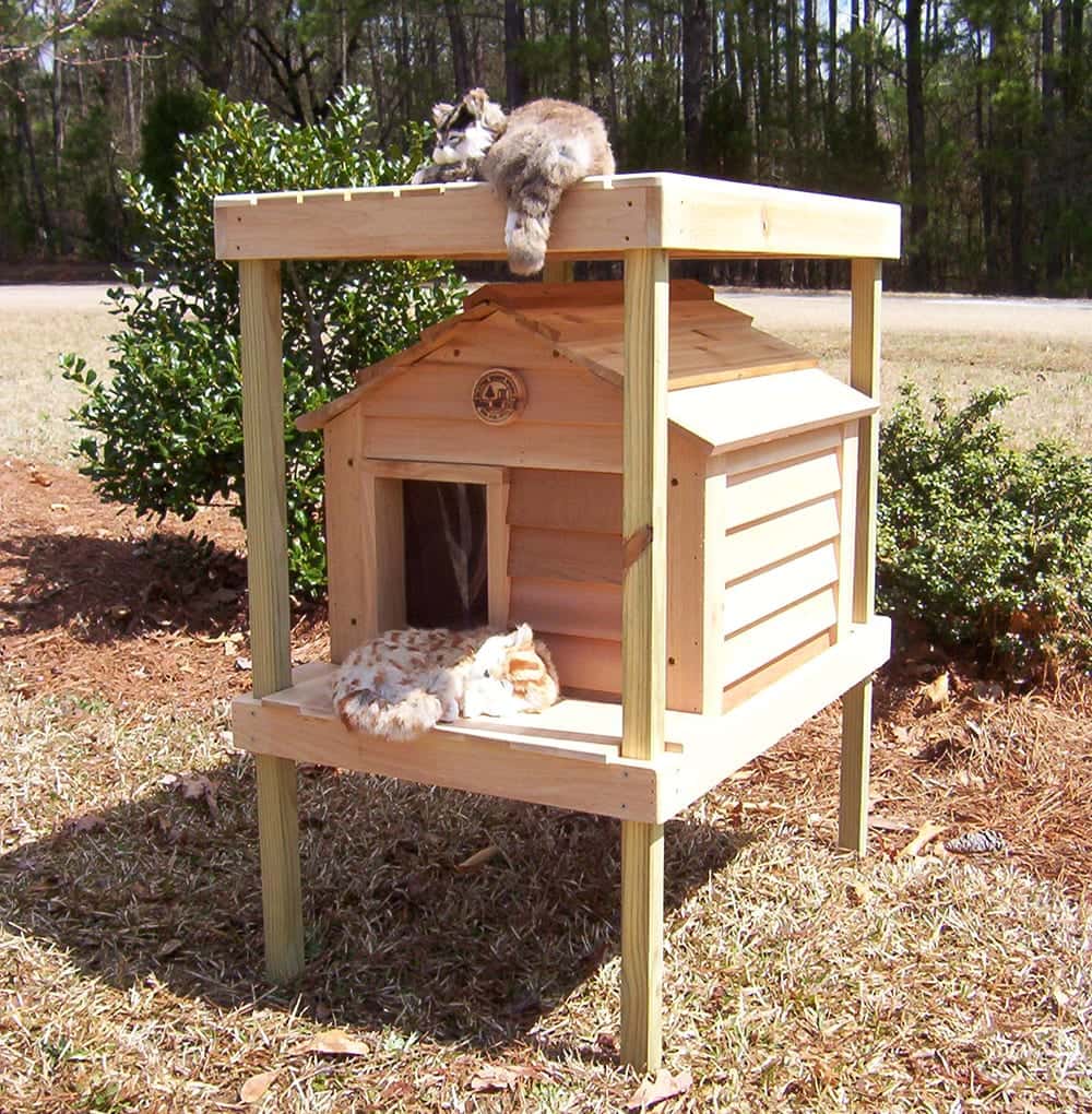 20” Cat House with Platform and Loft