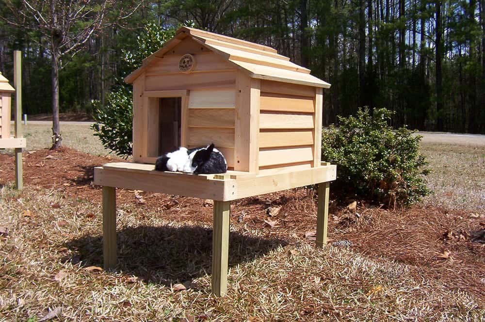20” Cat House with Platform