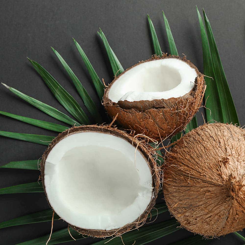 Coconut