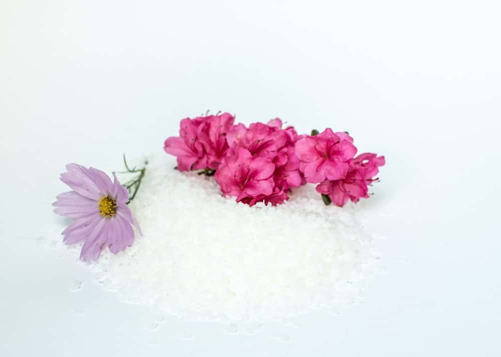 White Beeswax