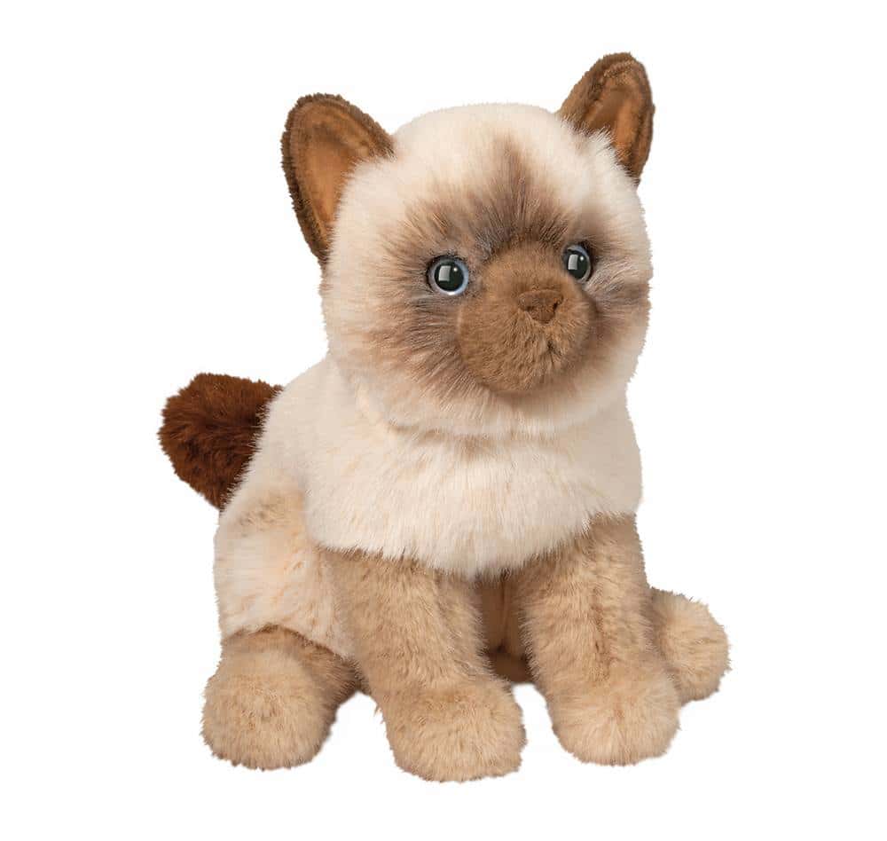 Fu Siamese Cat