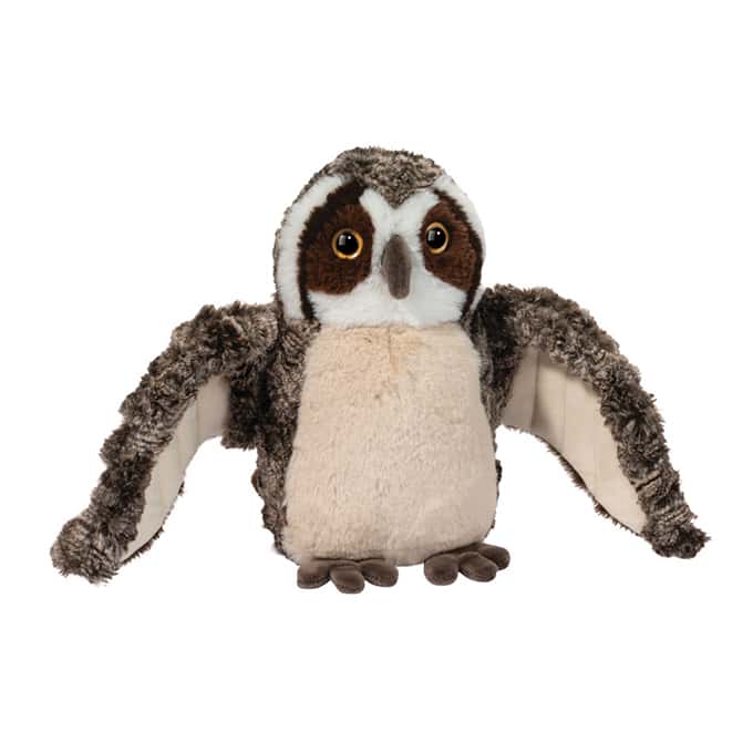 Echo Owl
