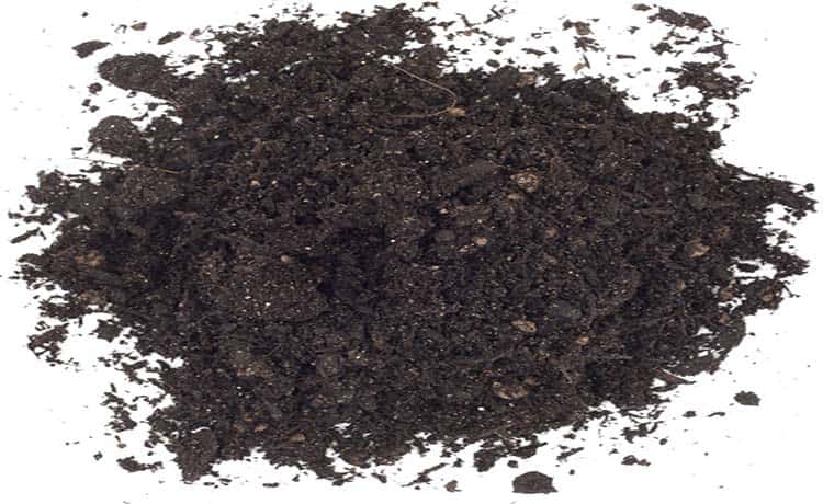 Soil