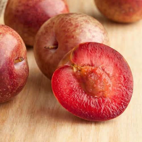 Pluot