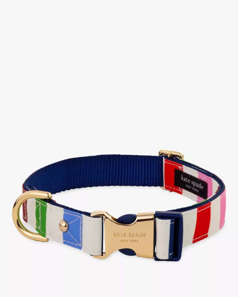 Adventure Stripe Collar S/M