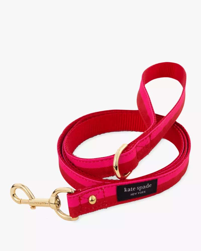 Colorblock Leash