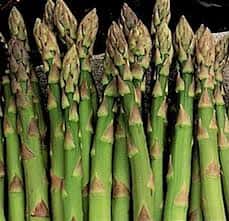 Asparagus officinalis ‘Mary Washington’