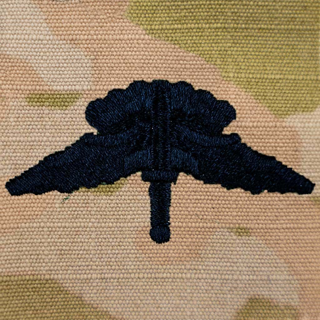 Basic Army HALO Wing OCP Sew On Badge