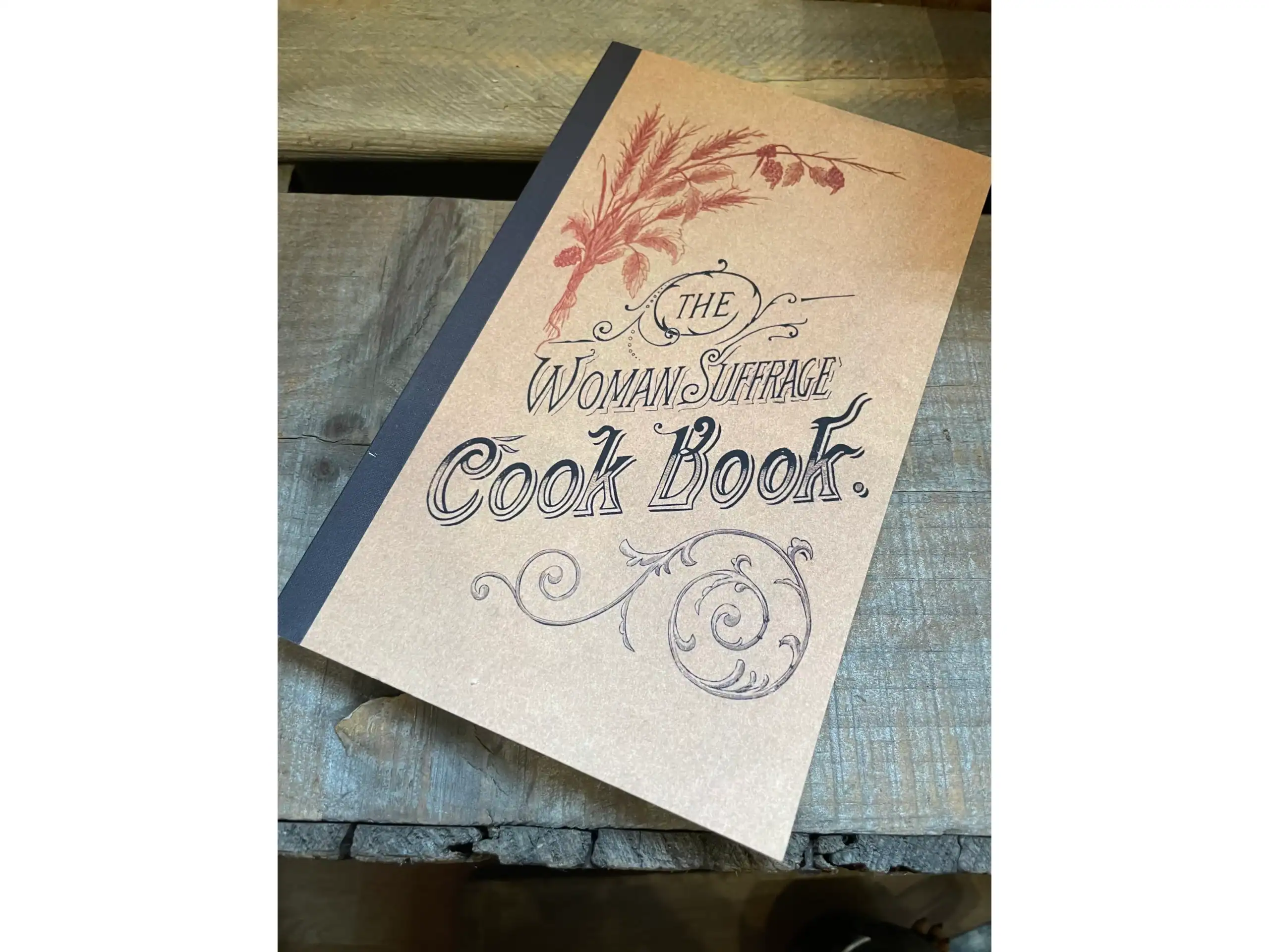 The Women’s Suffrage Cook book (1886)