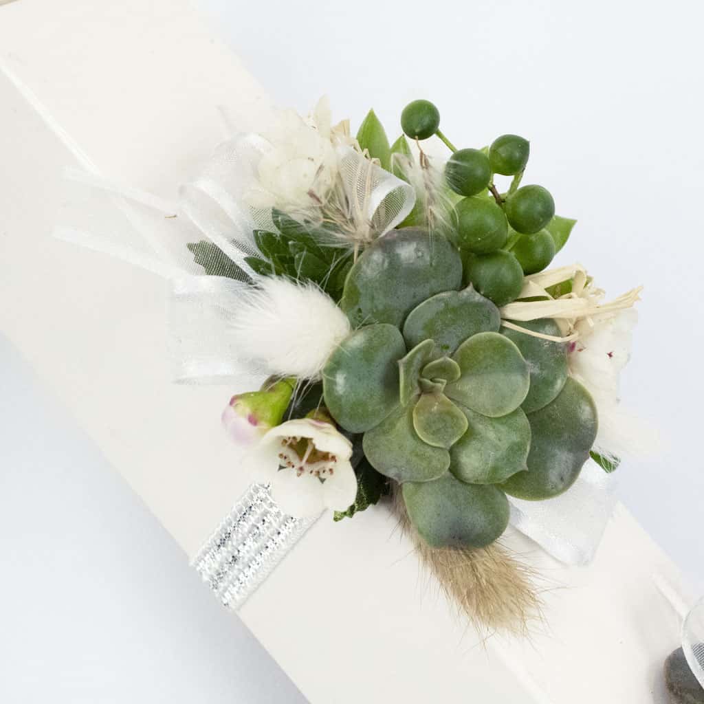 Wrist Corsage – Succulents