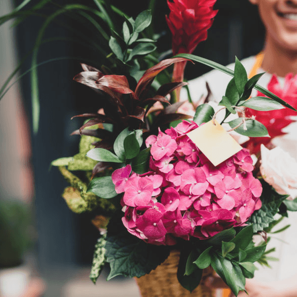 Monthly Floral Subscription