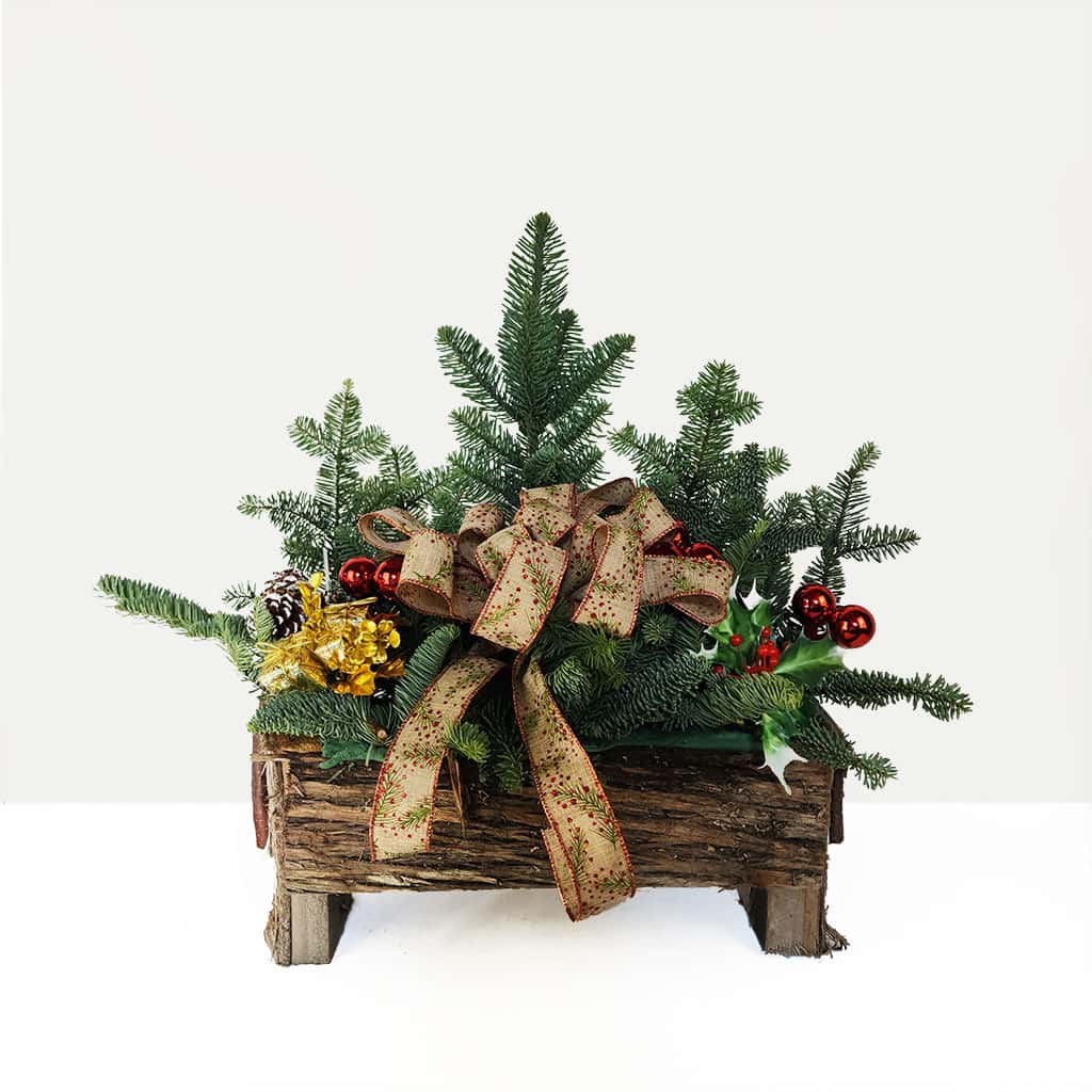 Winter Woods Planter