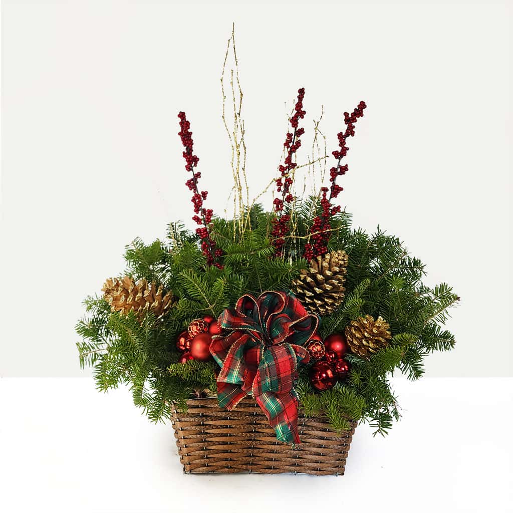 Wintertide Planter