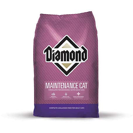 Diamond Maintenance Cat Dry Cat Food
