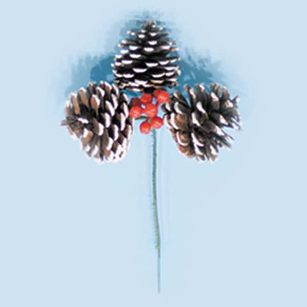 Triple White Tipped Pine Cone Pick