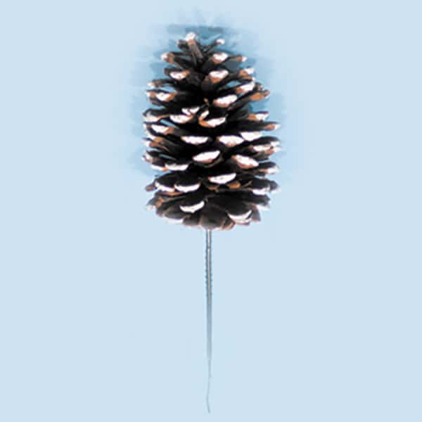 4″ White Tipped Jumbo Pine Cone Pick