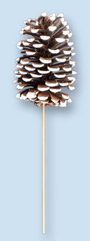 4.5″ White Tipped Jumbo Pine Cone Pick