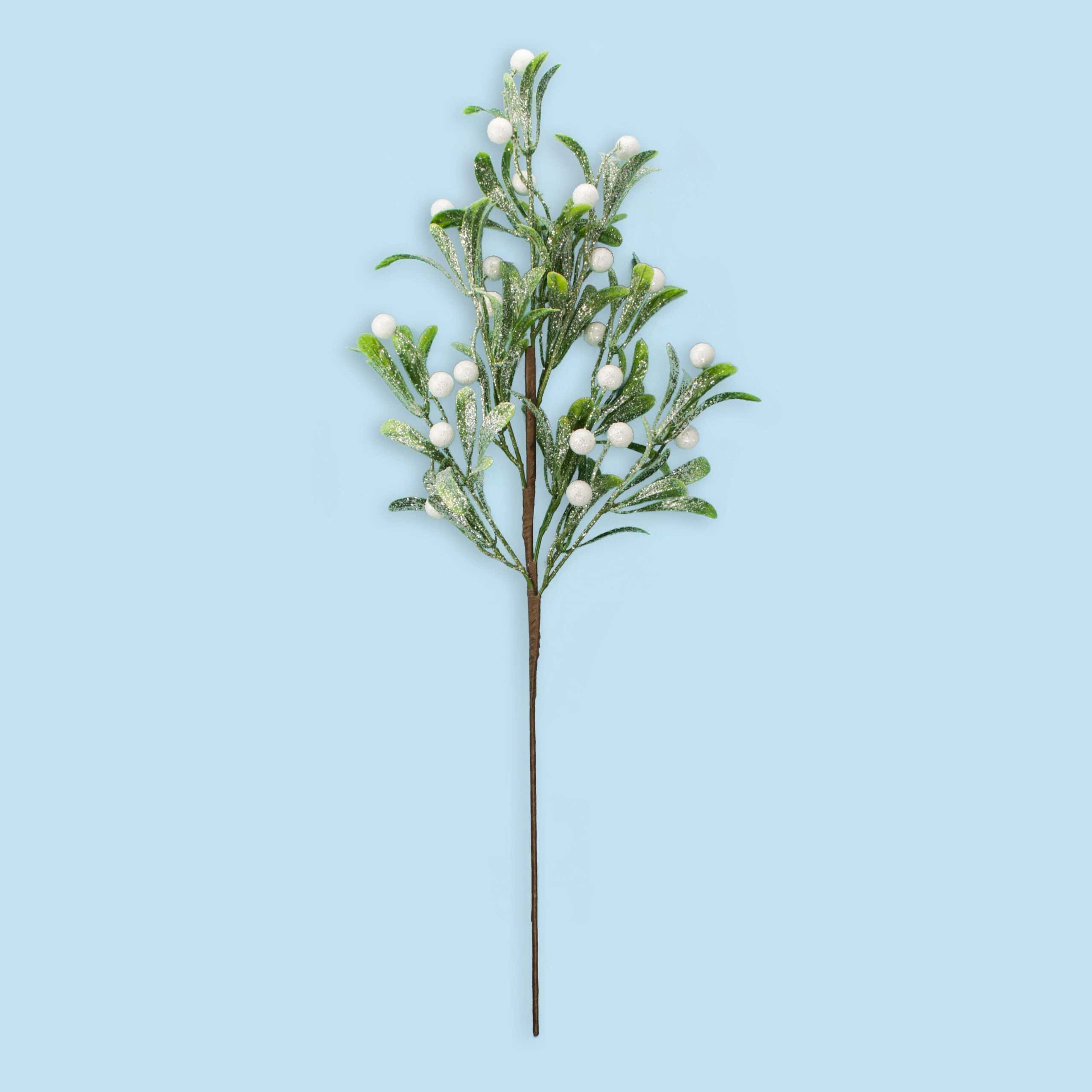 24″ Mistletoe Spray