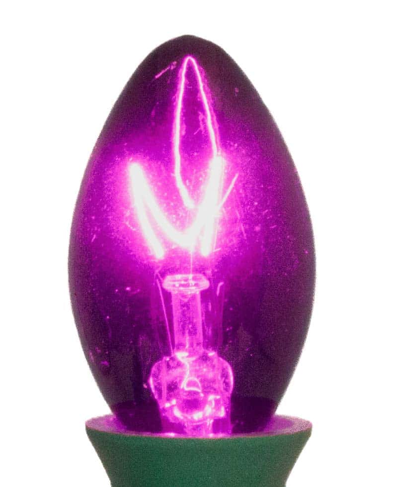 C7 Incandescent Bulb – Trans. Purple