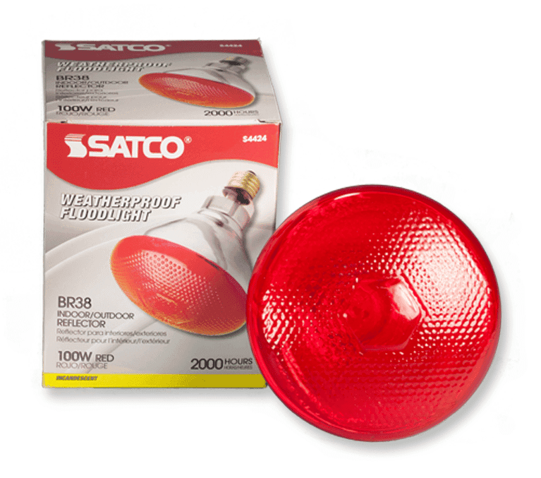 Red Incandescent Floodlight