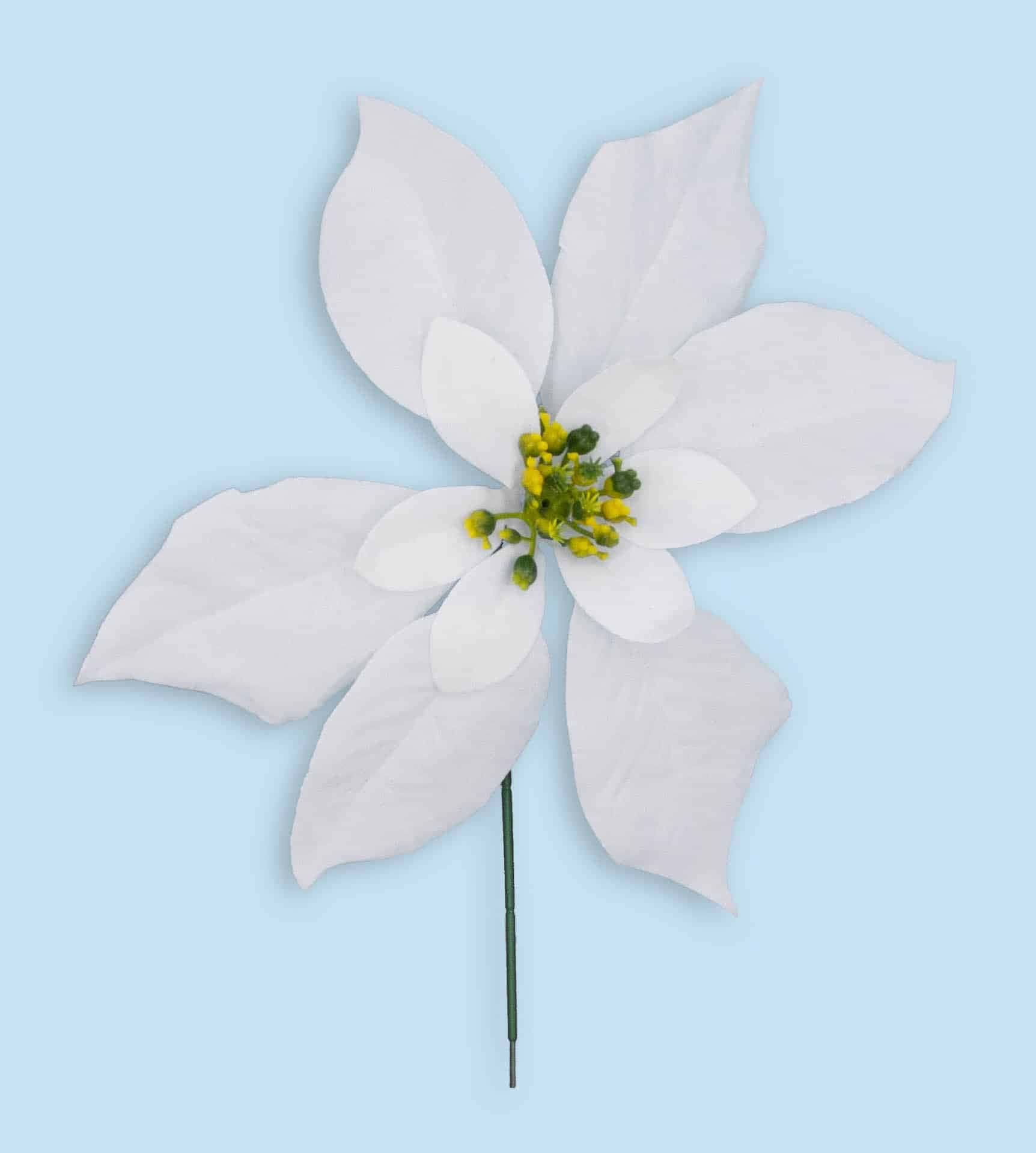 White Poinsettia Pick
