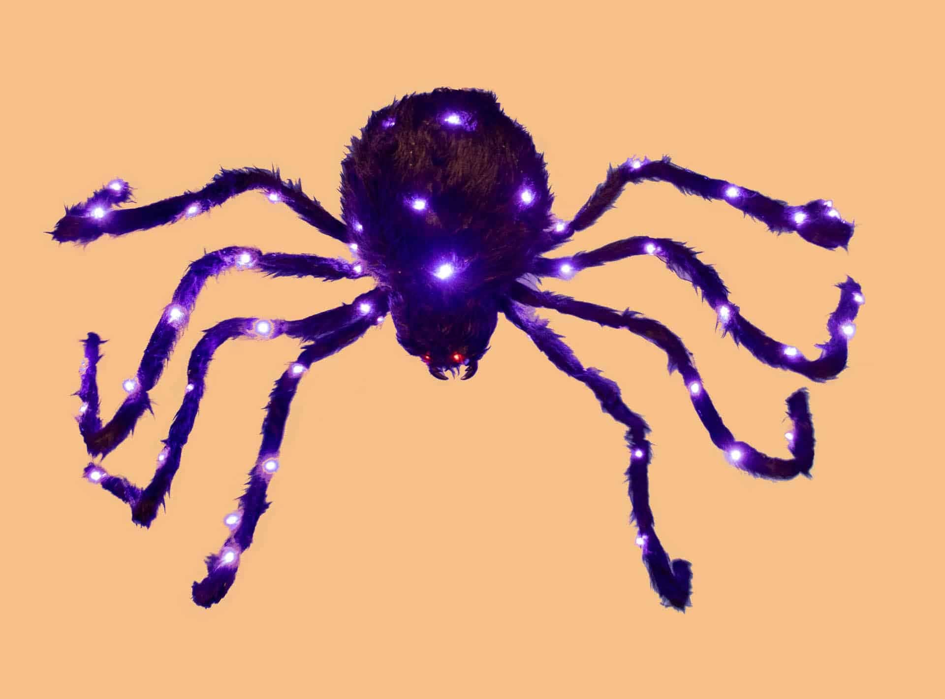 4′ Black Lighted Spider