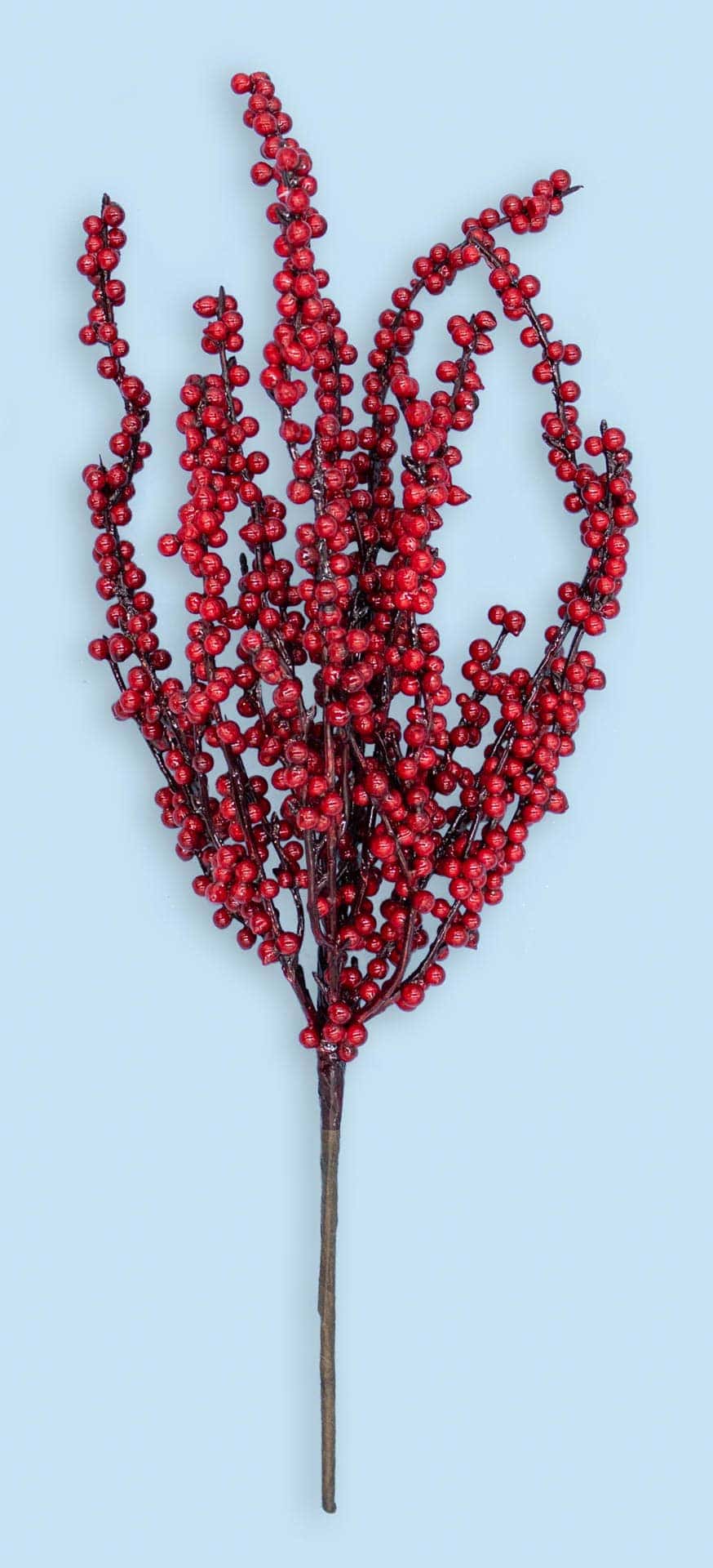 18″ Berry Spray
