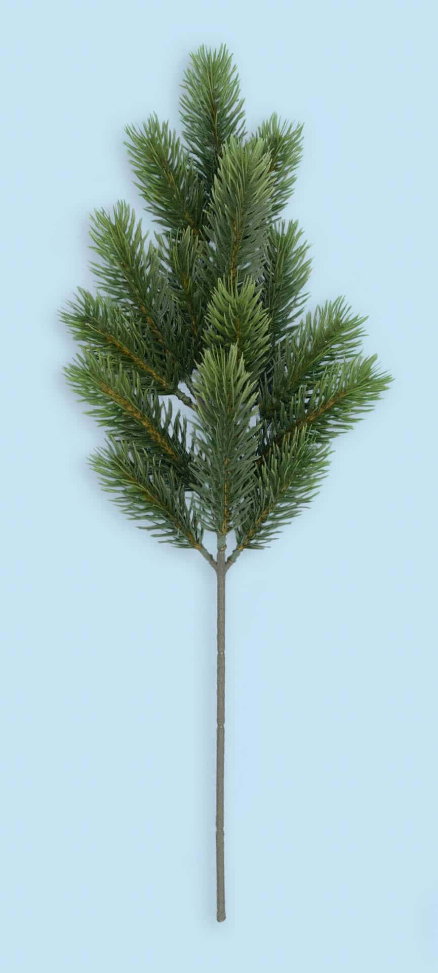 19″ Pine Spray