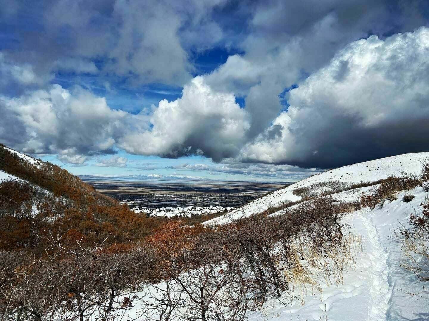 Tickets for Rosé on the Wild Rose Trail – Mom’s Hike