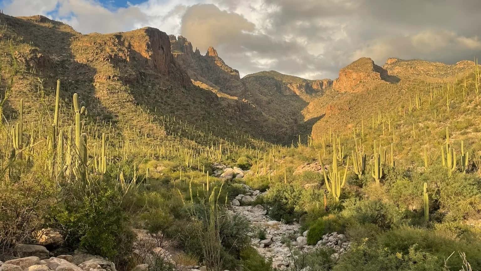 AZ Tuc: Saguaro Sips & Rocky Ridges: Finger Rock View Happy Hour 11-15-26