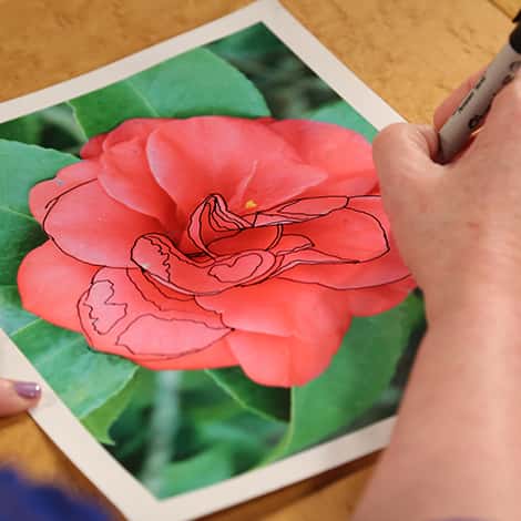 Fabulous Flower Photo Quilts Course