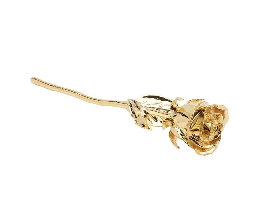 24 KARAT GOLD-DIPPED ROSE