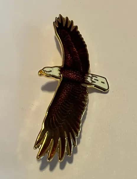Enameled Raptor Pins, Bald Eagle