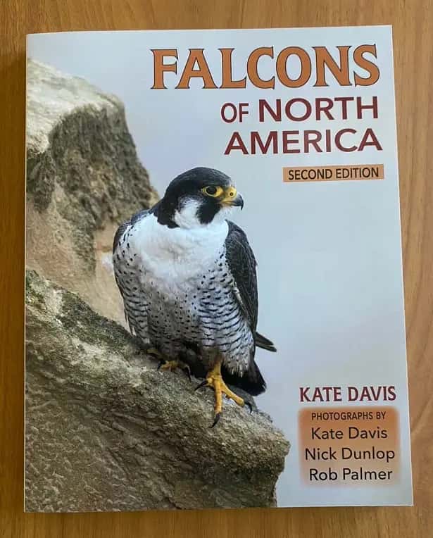 Falcons of North America new updated Second Edition
