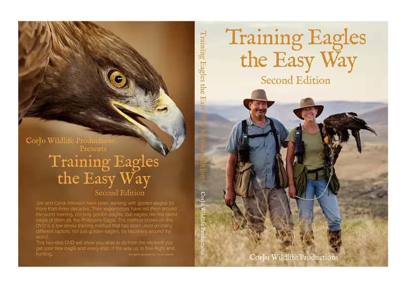 Training Eagles the easy way, by Joe Atkinson, new updated second Edition includes two DVD’s