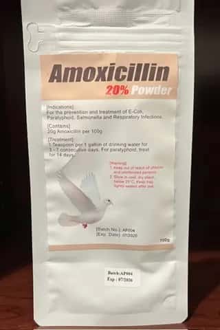 Amoxicillin Powder.