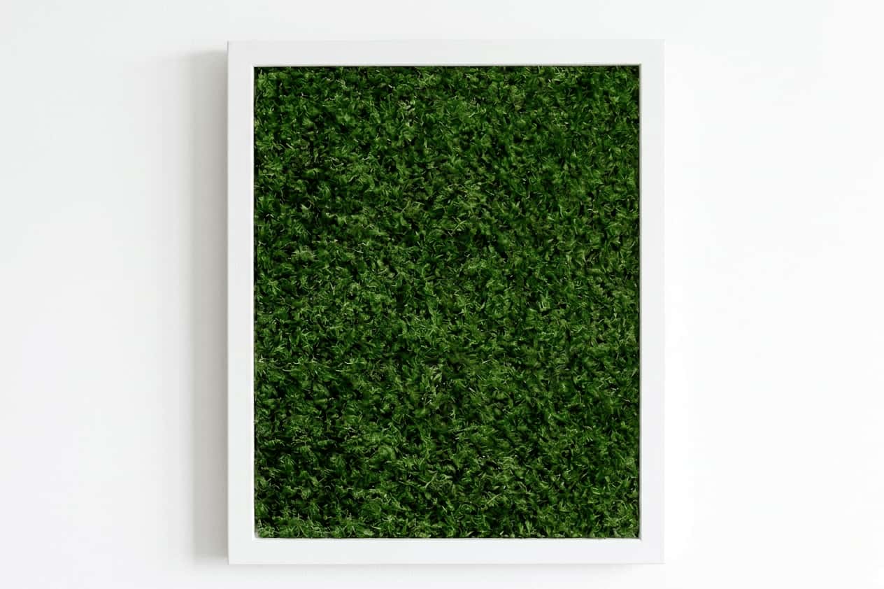 Live Sheet Moss Wall Art in White, 11″x14″