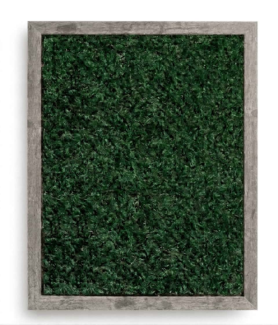 Live Sheet Moss Wall Art in Gray, 11″x14″