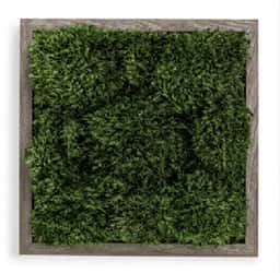 Live Mood Moss Wall Art in Gray, 12″x12″