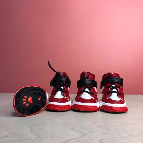 Classy Hype Dog Shoes For Walking