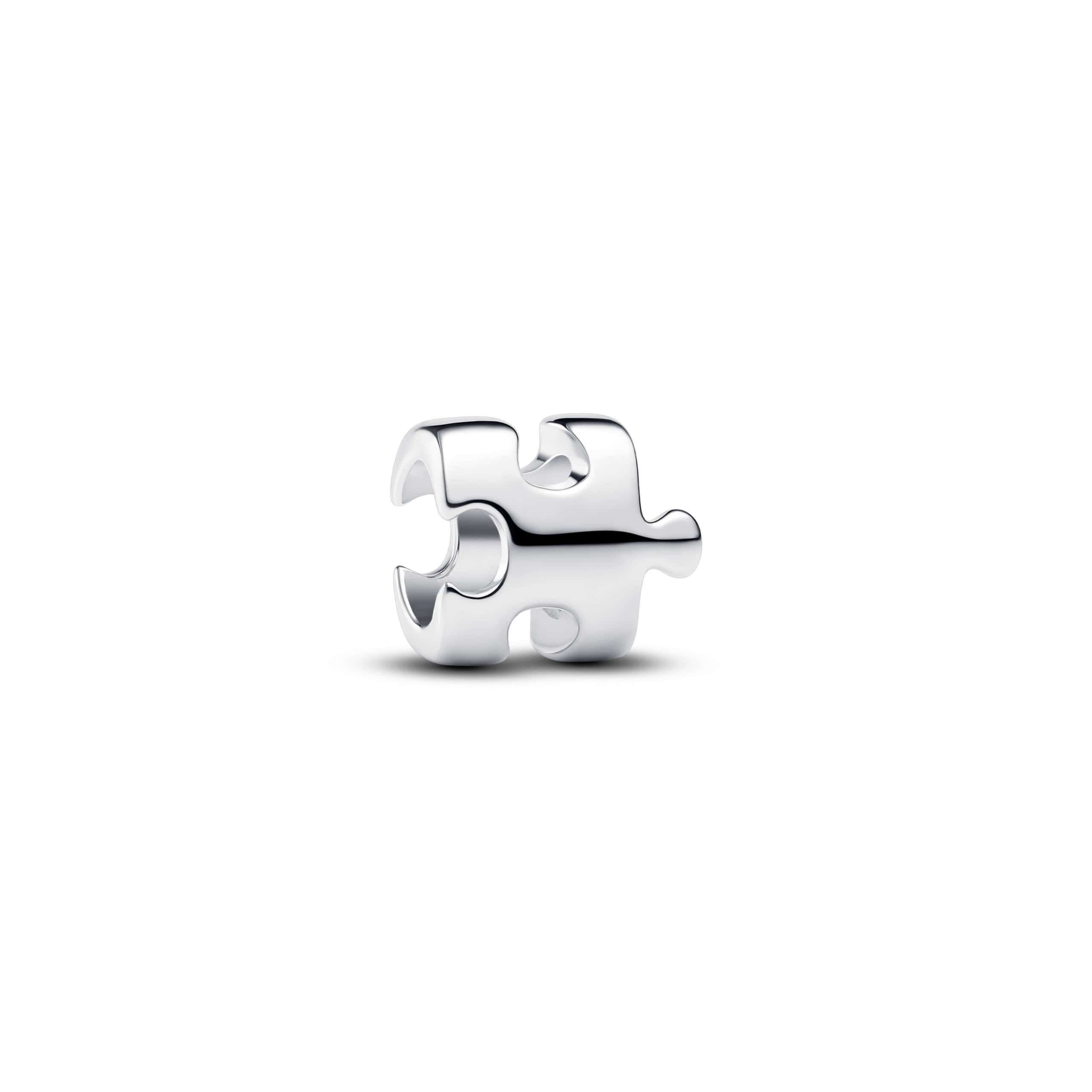 Puzzle Piece Mini Charm