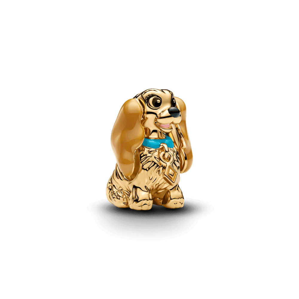 Disney Lady Charm