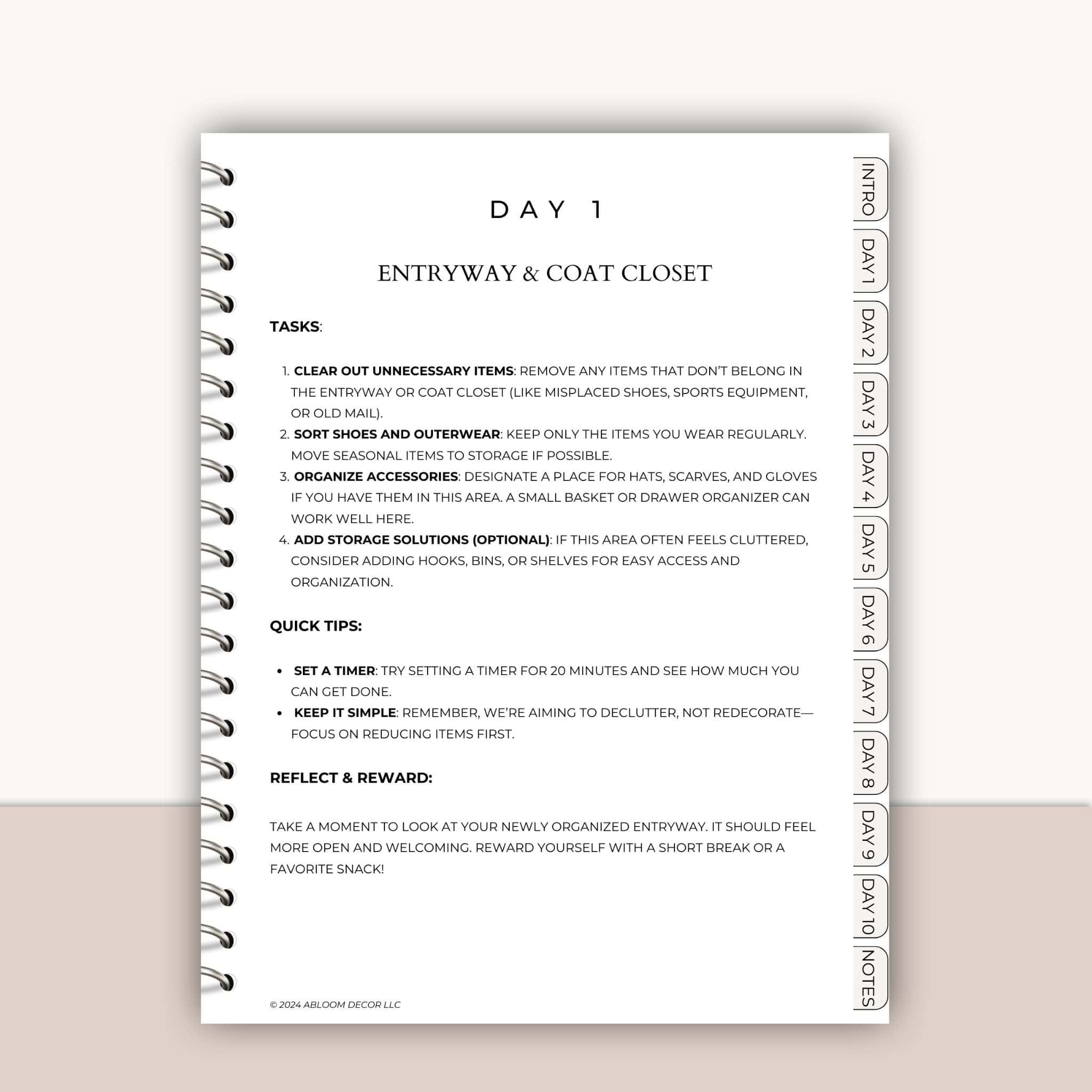 10-Day Decluttering Challenge - thumbnail 10