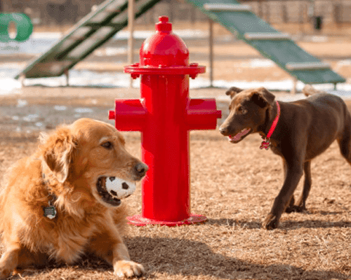 Fire Hydrant