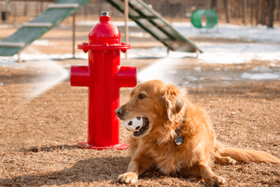 Misting Fire Hydrant