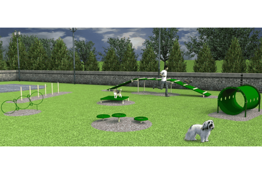 Small Dog Advanced Course