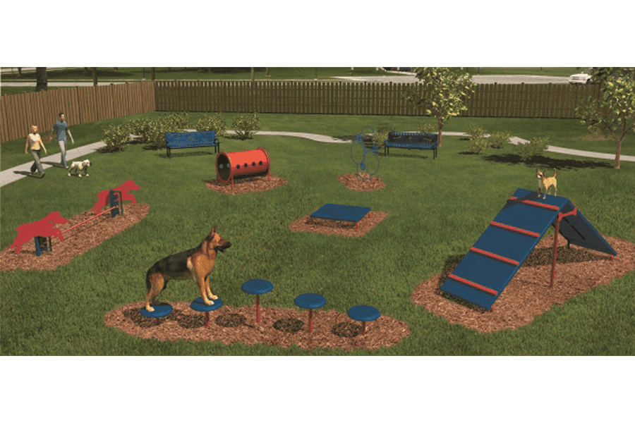 Intermediate Agility Course
