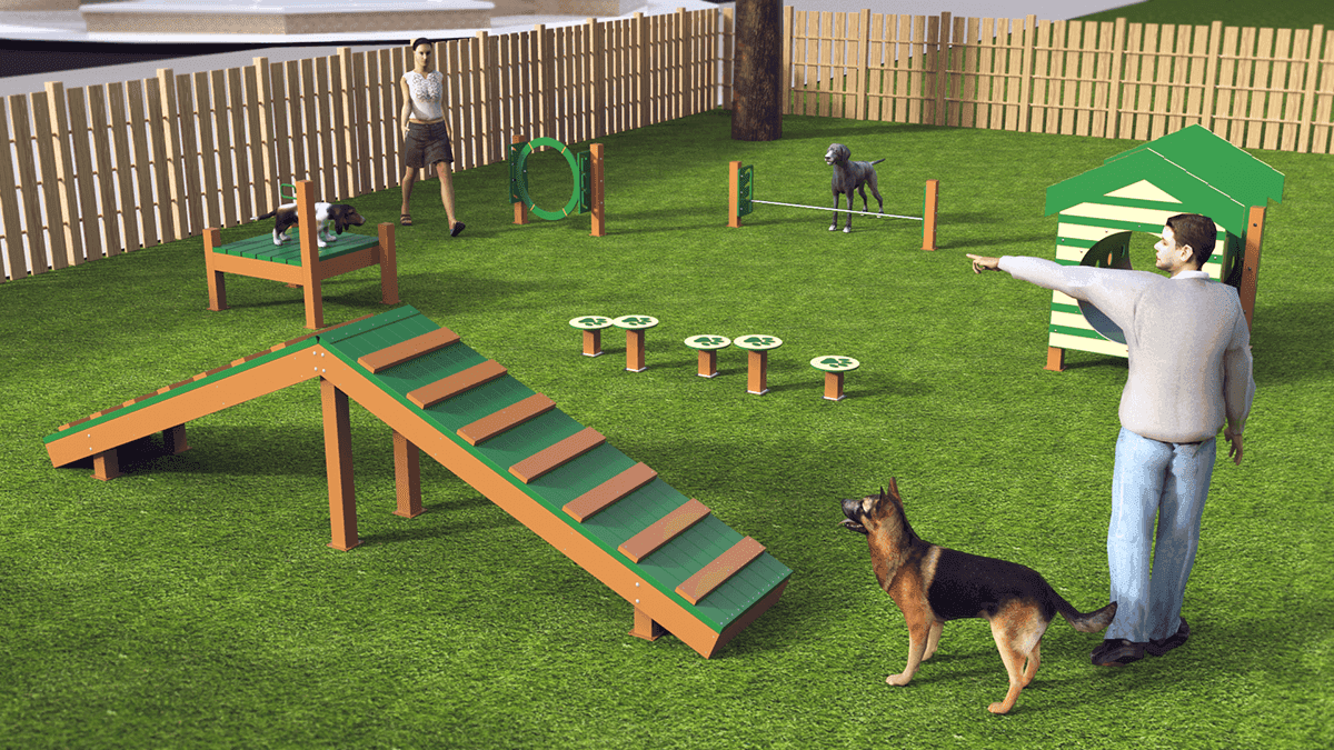 Recycled Intermediate Agility Course
